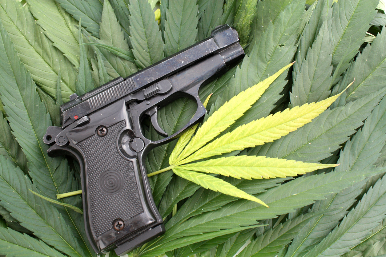 marijuana and guns
