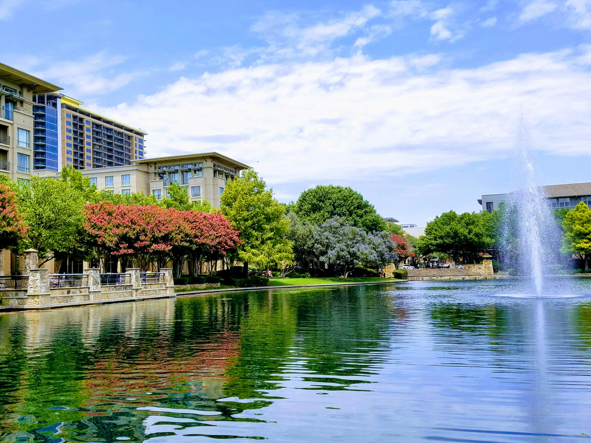 Plano federal appeals Plano federal appeals lawyer