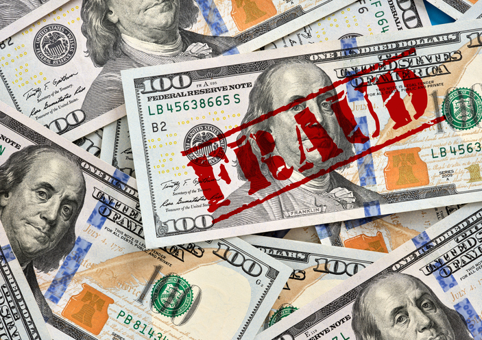 National Fraud Enforcement Unit